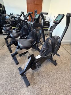 Rogue Echo Assault Bike