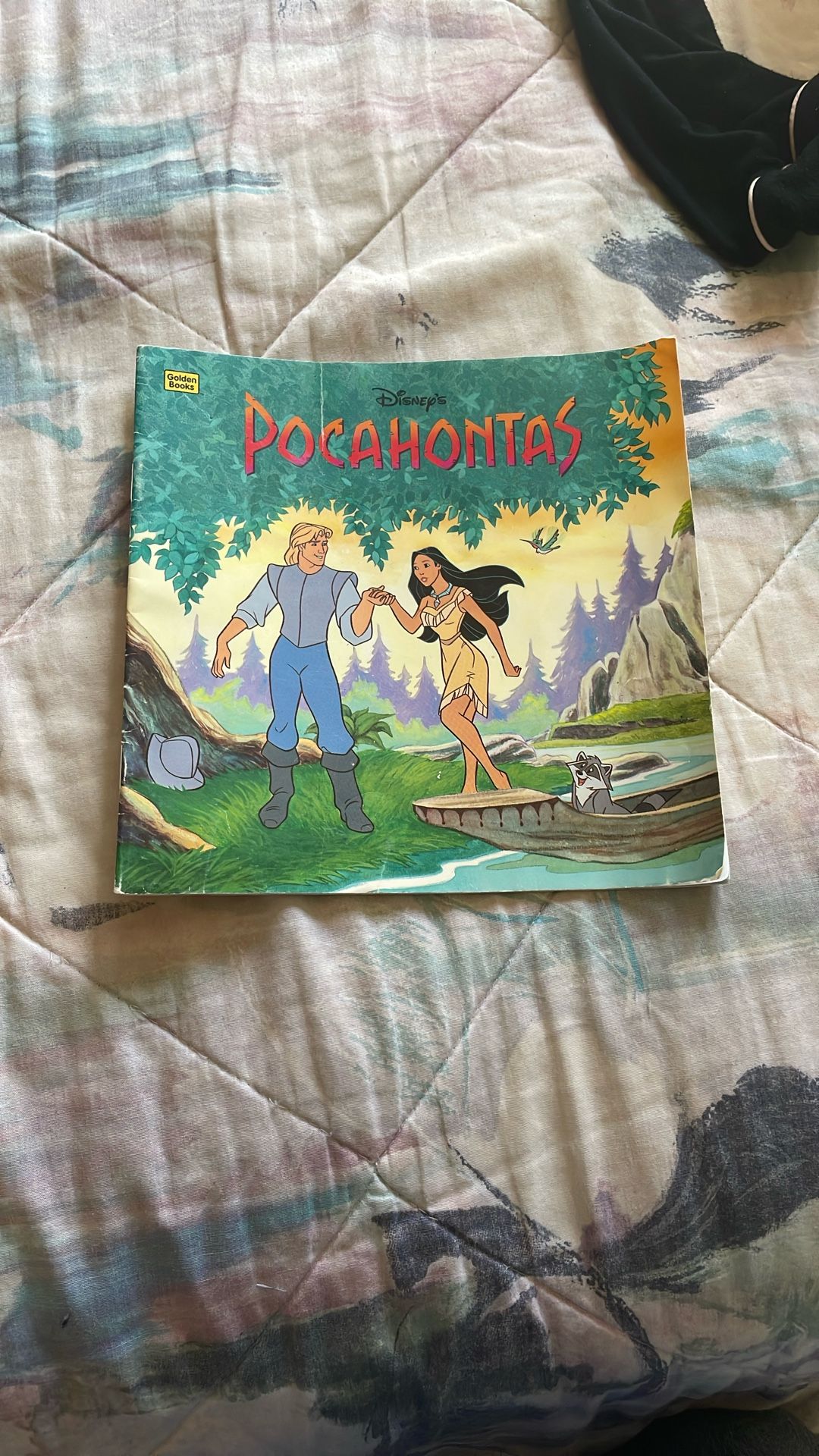 Pocahontas Book