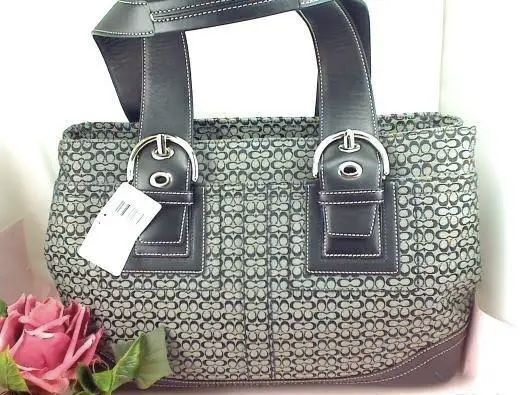 Perfect Condition Coach Purse