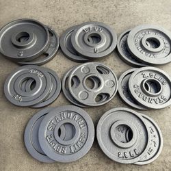 Olympic Weights (55 Lbs)