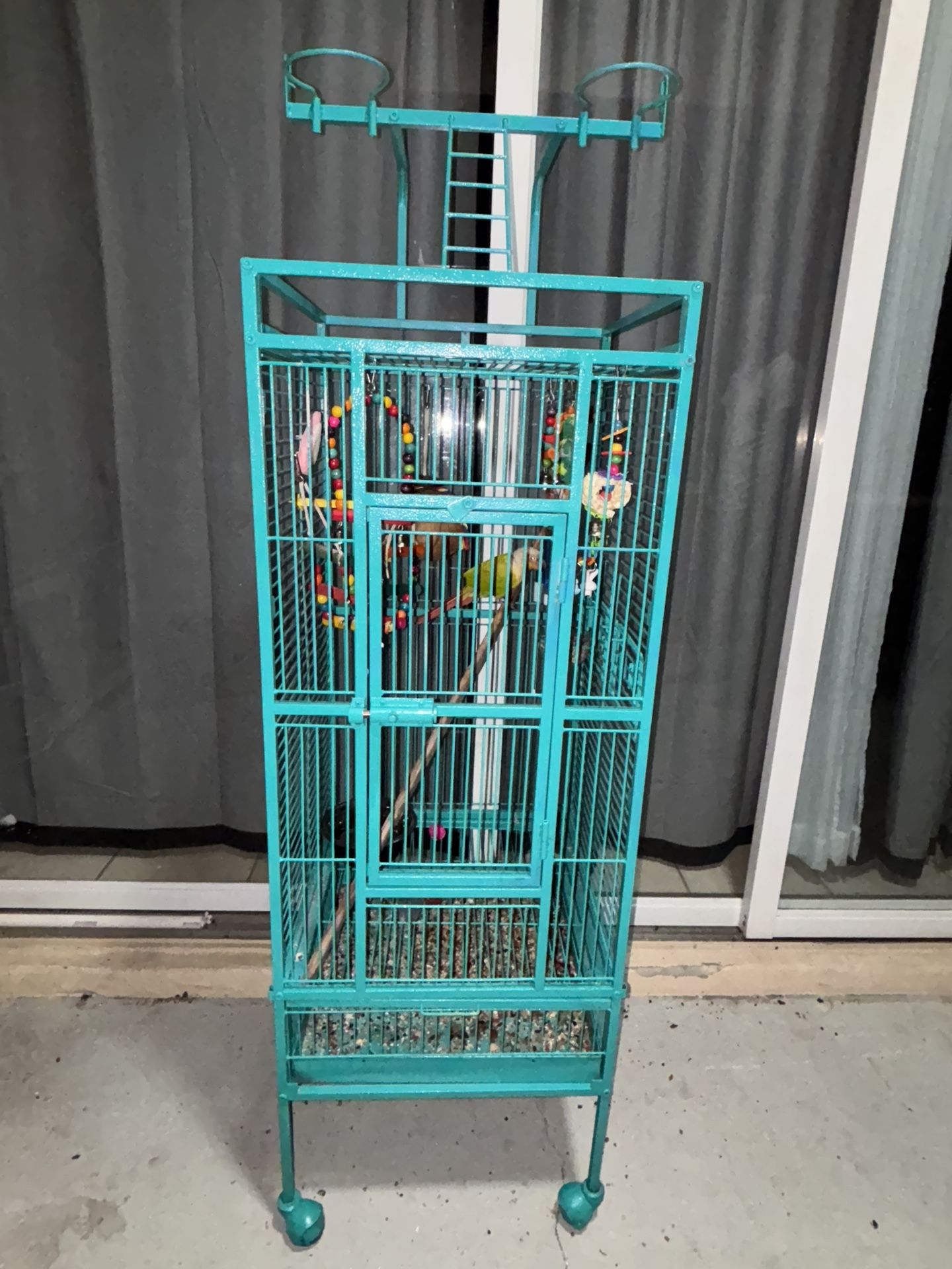 Bird Cage 