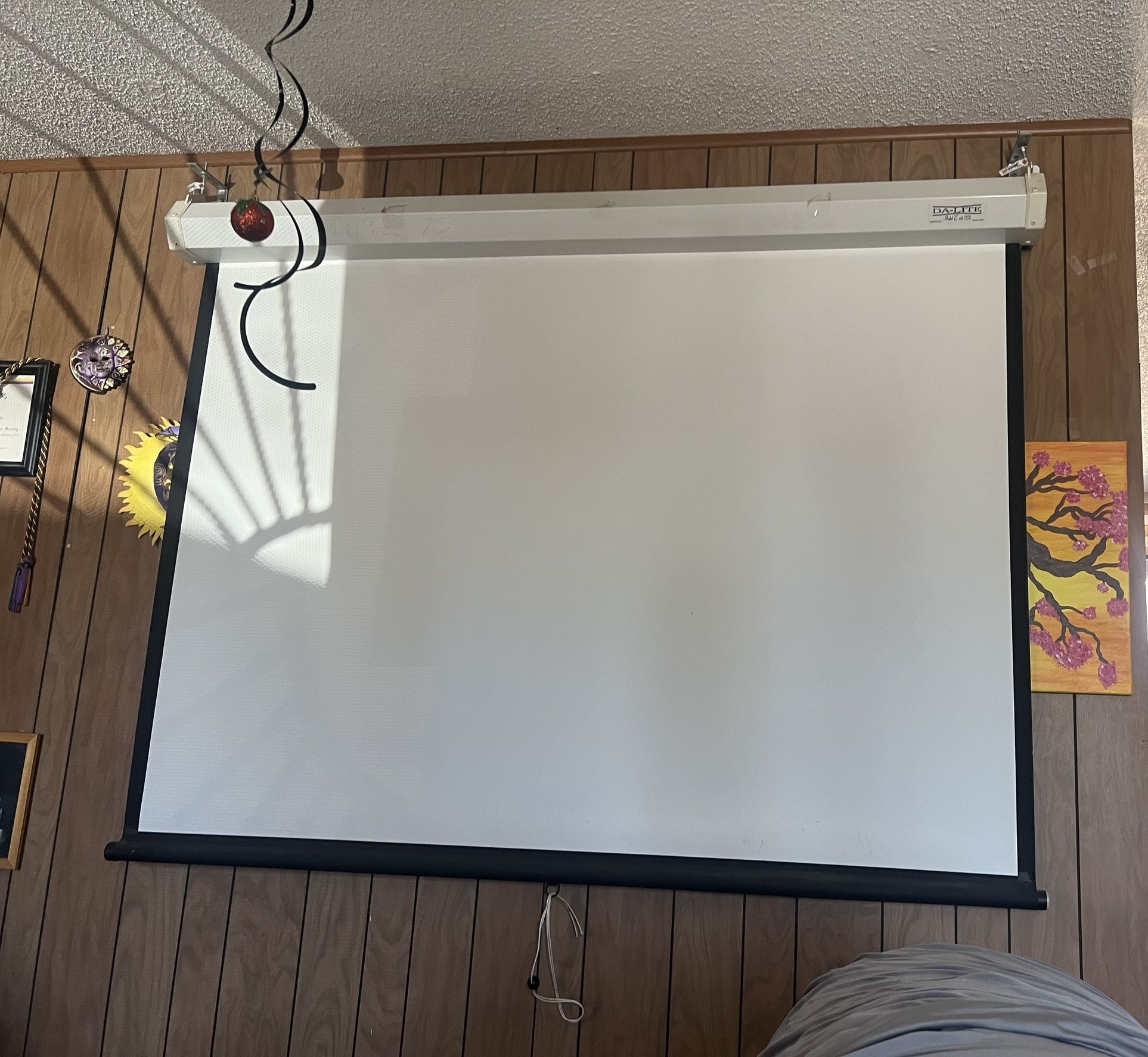 Projector Screen
