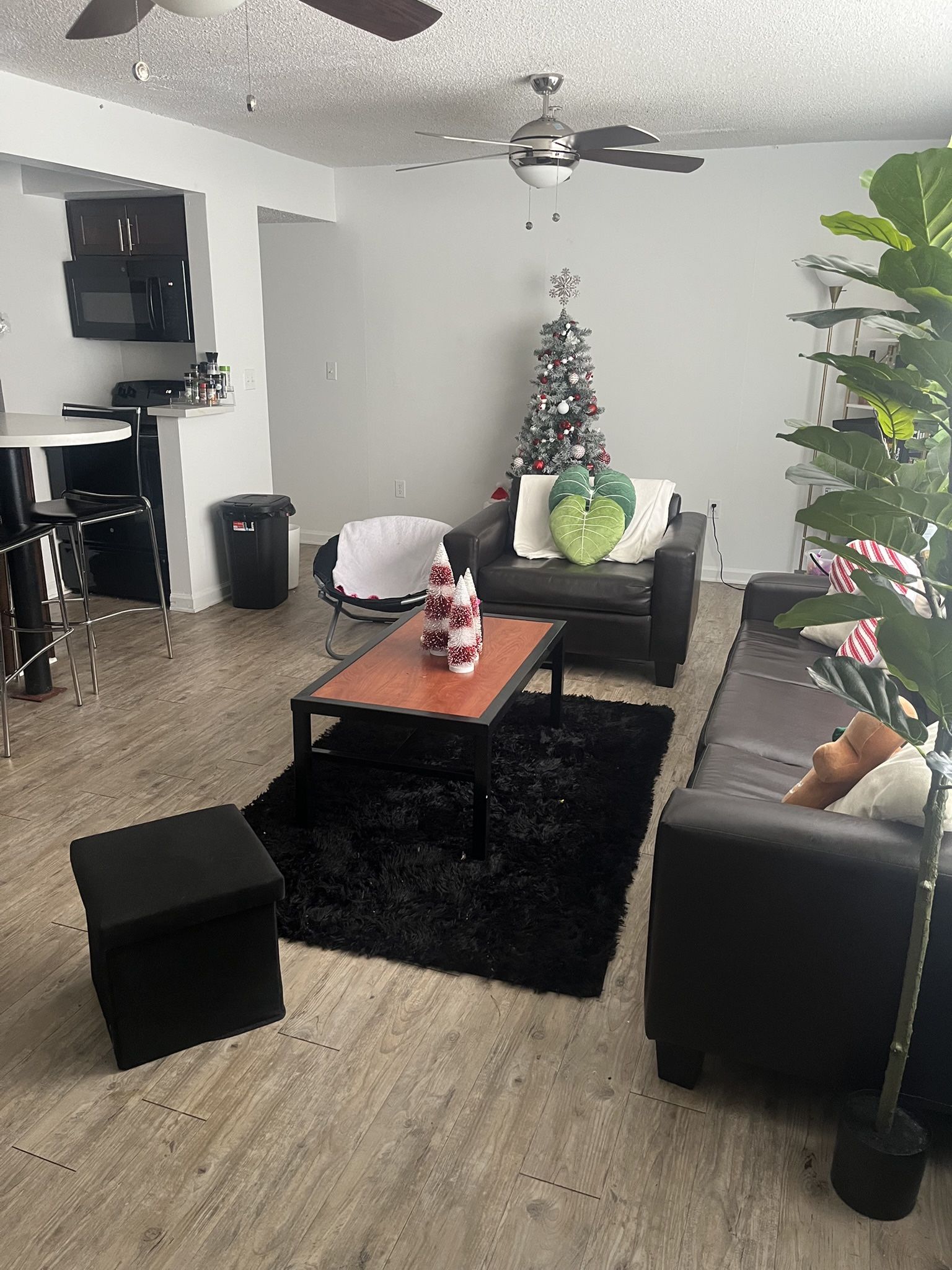 Lease Takeover for Apartment