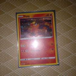 Tepig