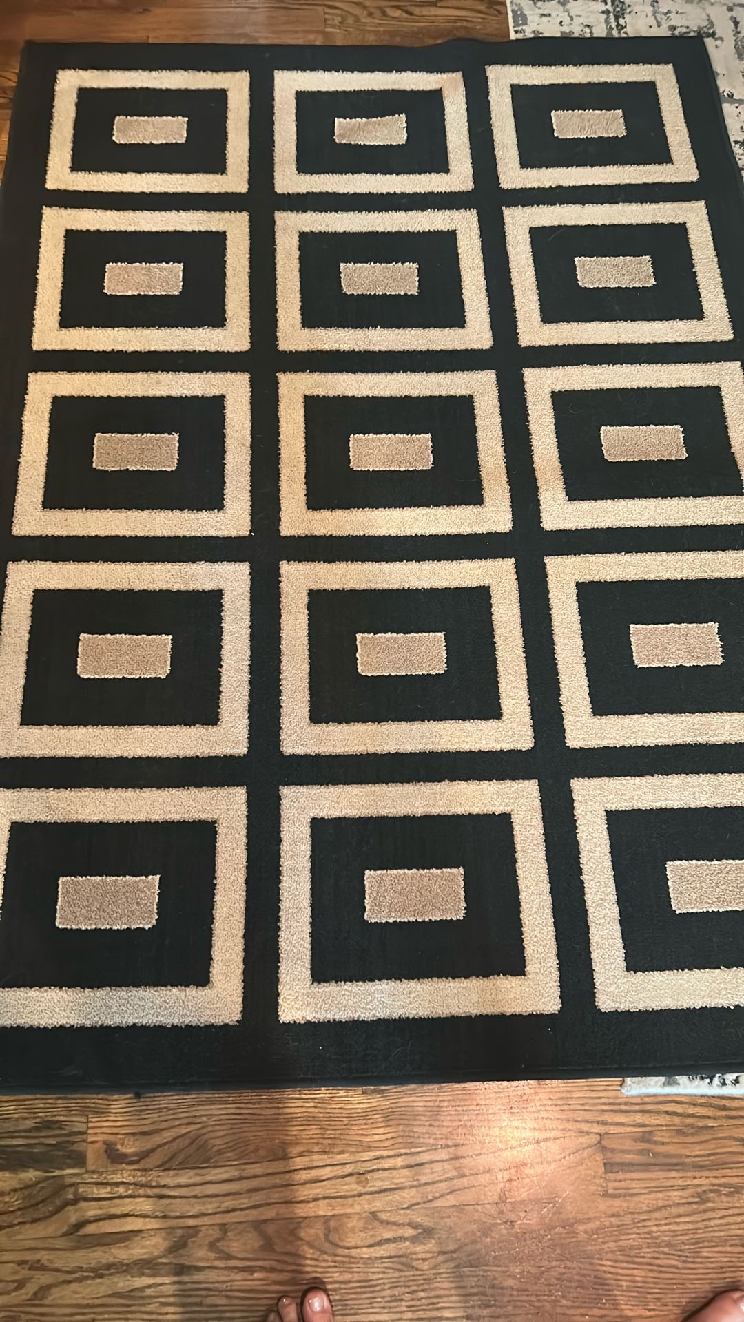 Black And Tan Rug
