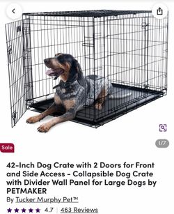 XL black wire dog crate