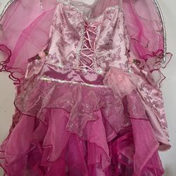 Pink Butterfly Dress Costume For Girls 