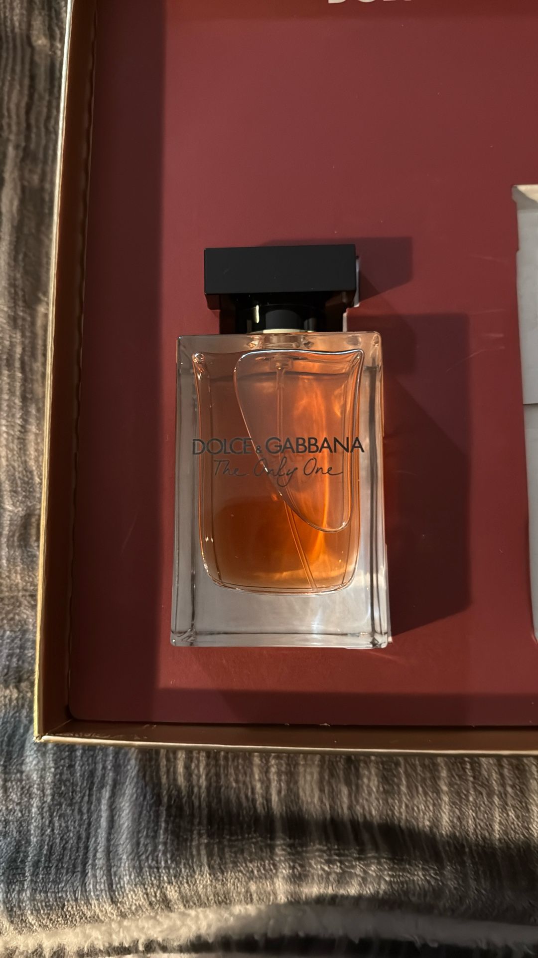 New Dolce Gabbana 