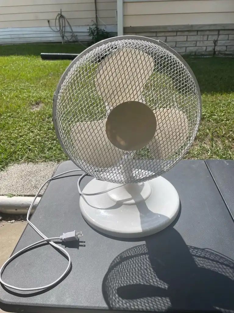 Fan
