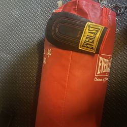 Punching Bag