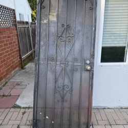 32x80 Security Door