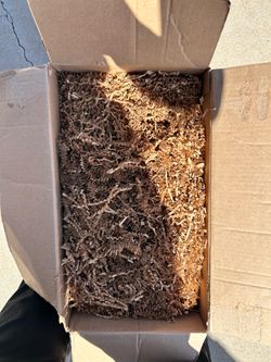 Brown Crinkle Paper