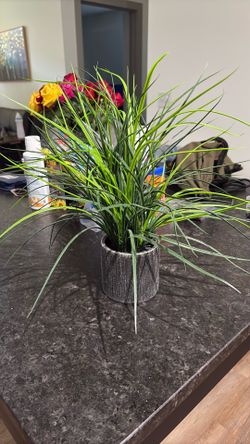 Fake plant