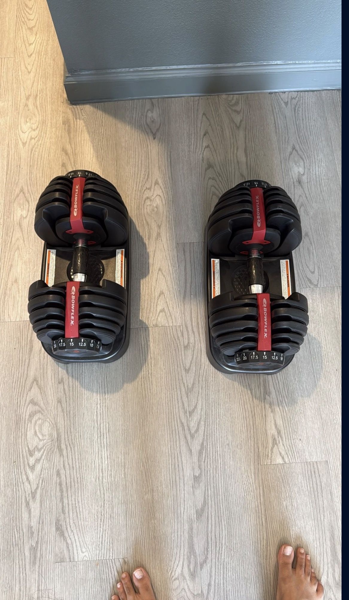 Bow Flex Dumbbell 
