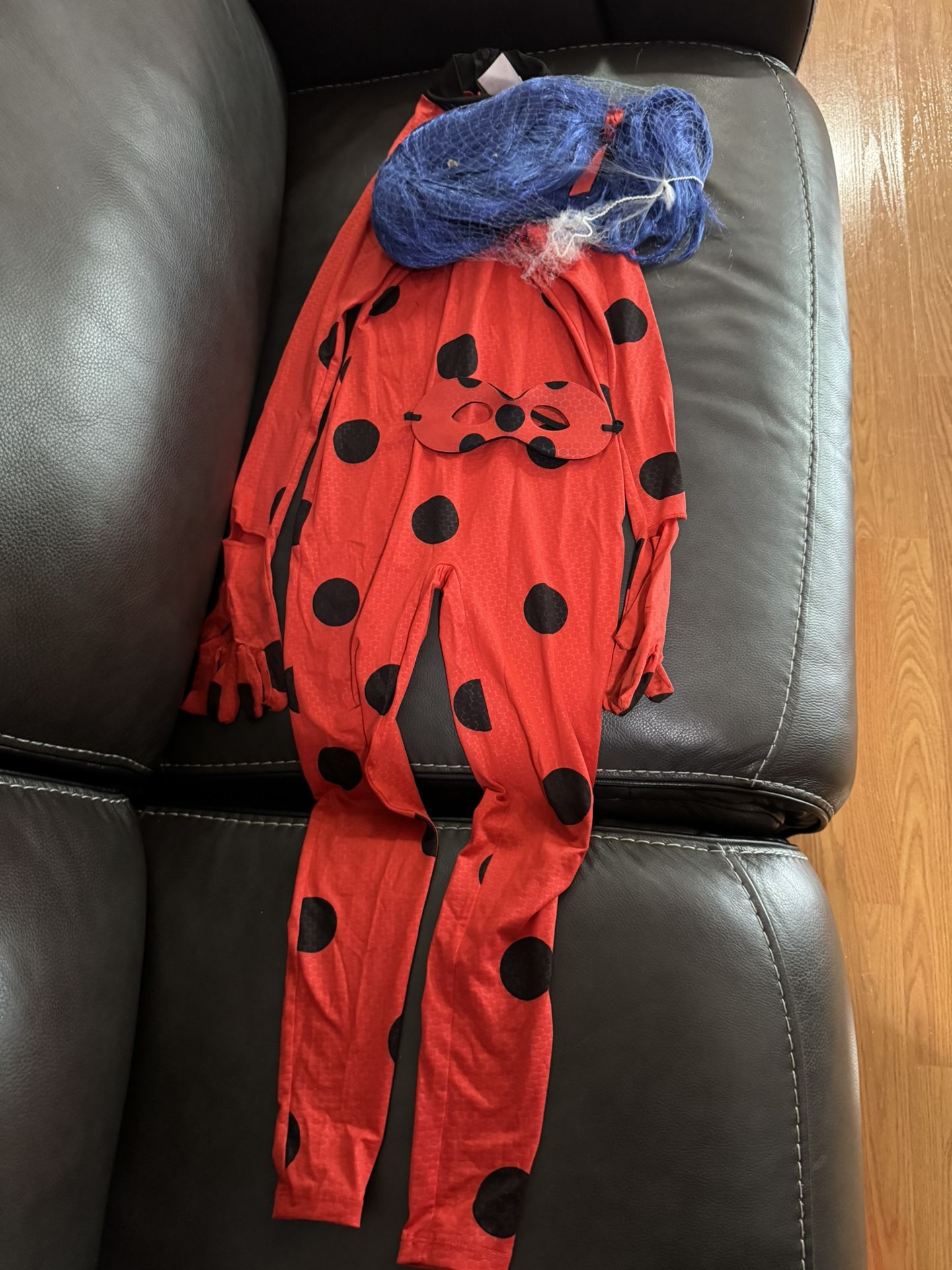 Lady Bug Halloween Costume