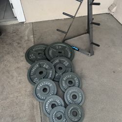 Olympic weights 245lbs total plus weights tree firm price