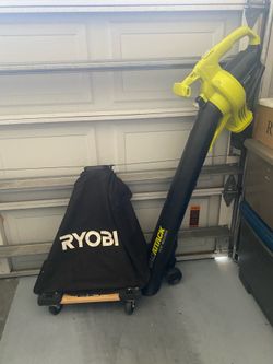 RYOBI Cordless Leaf Vacuum/Mulcher