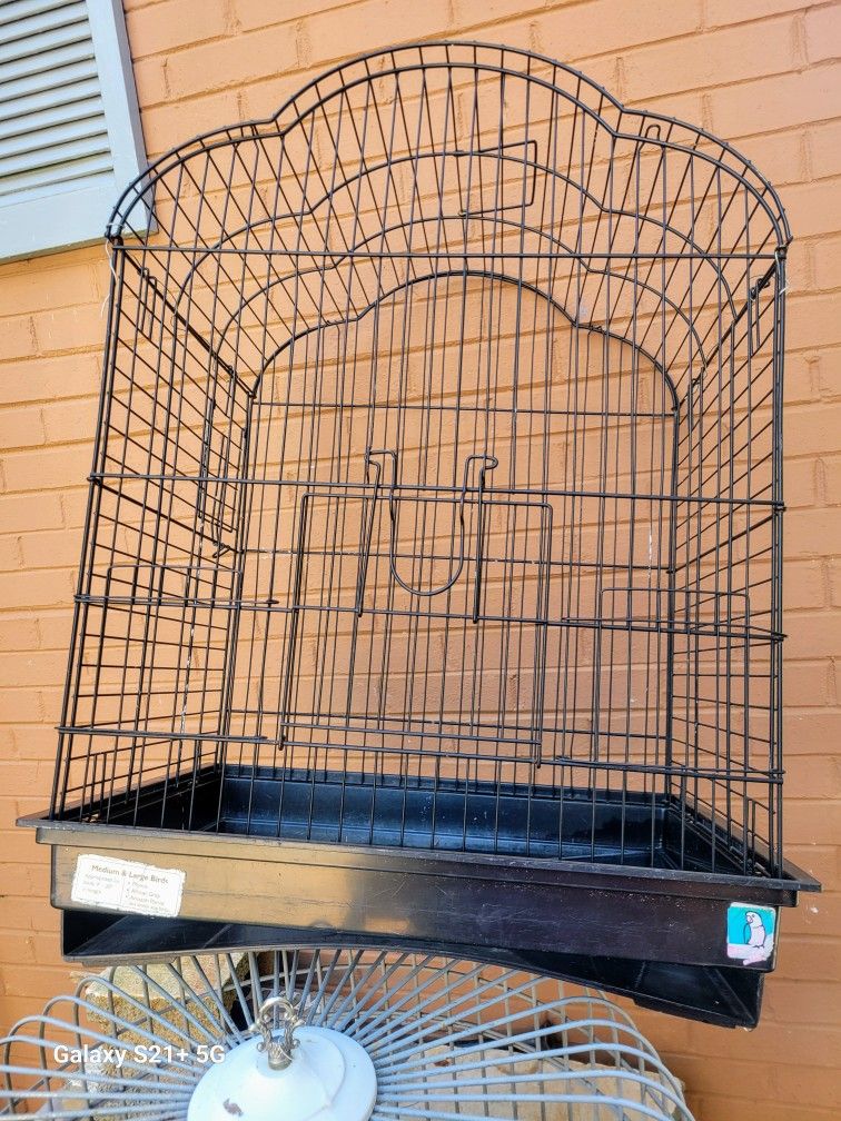 Bird Cage