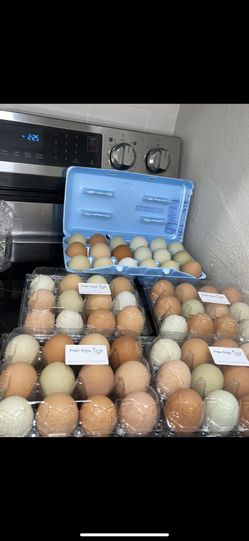 Cada 12 X $8 Contact For more Info 