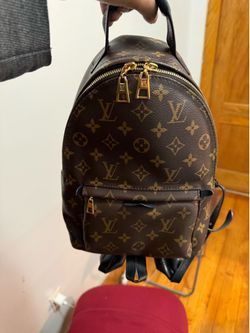 Louis Vuitton Palm Springs PM backpack