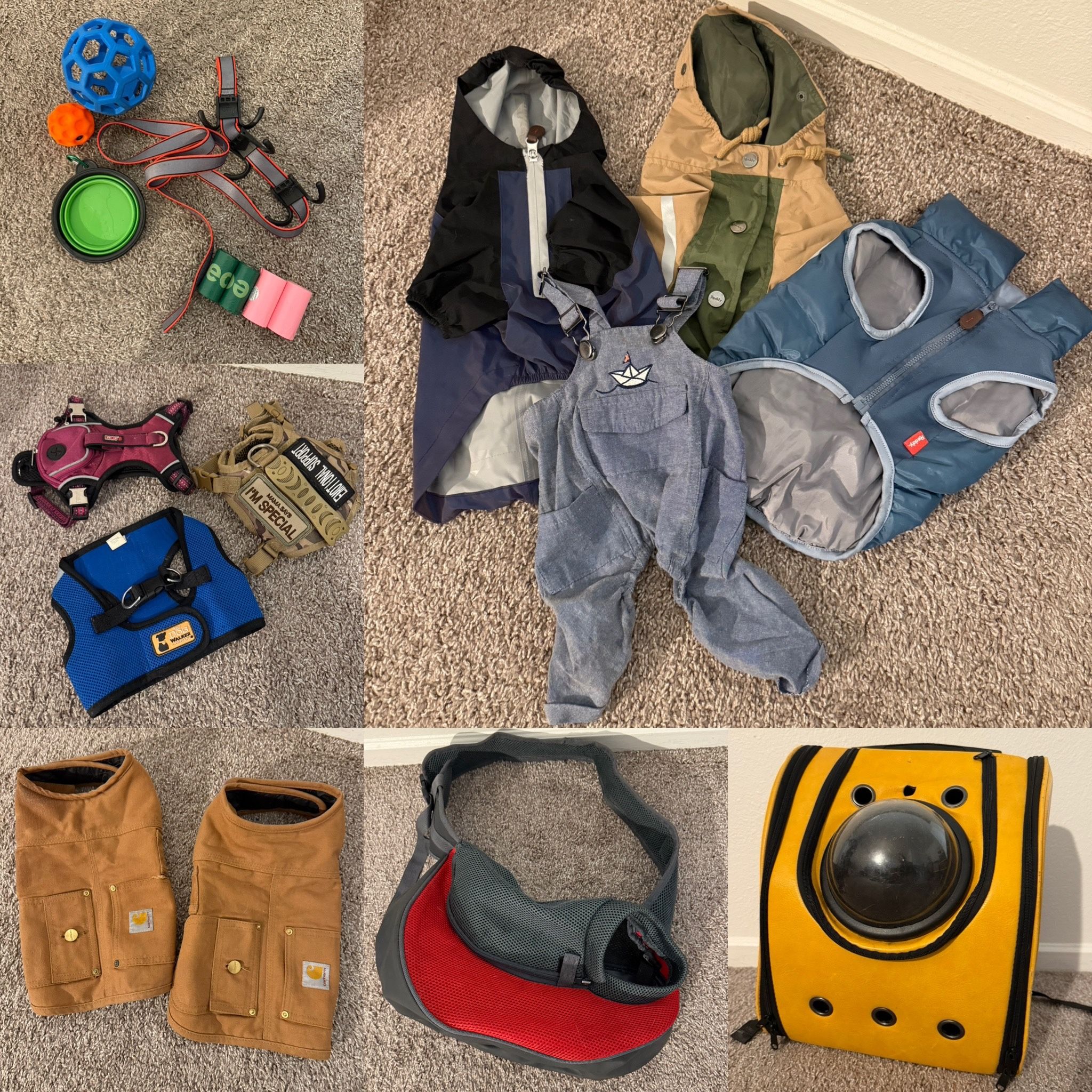 Pet Products | Clothes | Carrying | Leashes | Toys