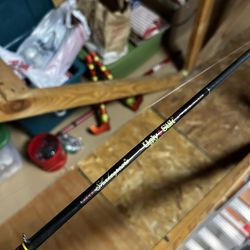 Fishing Rod Ugly Stik And Quantum Reel