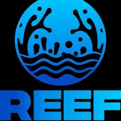 REEF STUFF