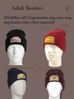 Metallic Threat Embroidered Beanies Astros 
