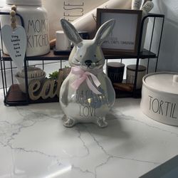 Iridescent Rae Dunn Bunny