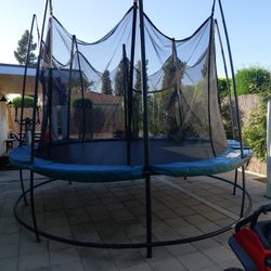 Free Trampoline