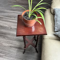 Small Plant Stand/ Side Table 