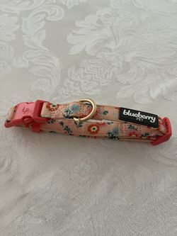 BLUEBERRY DOG COLLAR NEVER USED!