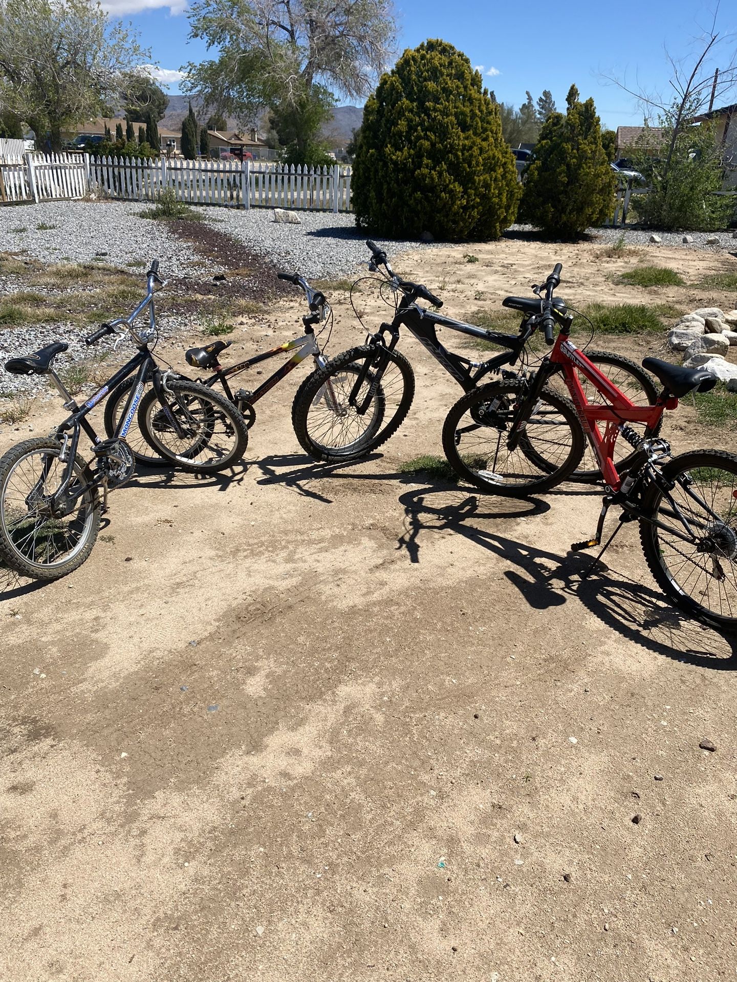  Bikes For Sale