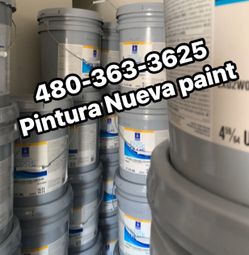 Pintura Paint