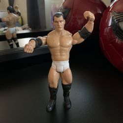WWE Action Figure