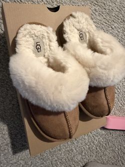 Uggs