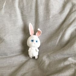 Cute Rabbit