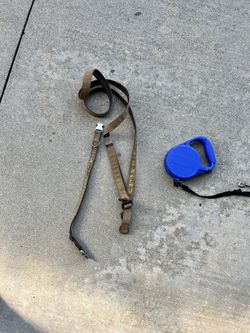 Dog Leash