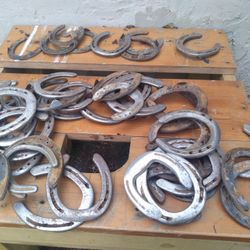 Nice collection of 48 authentic horseshoes