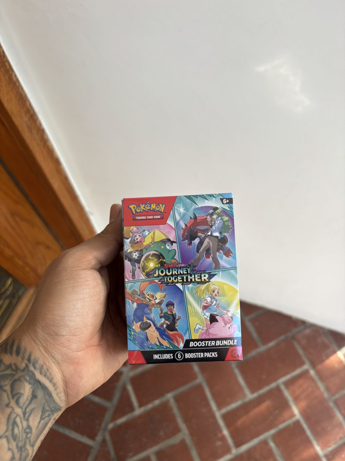 Pokemon Lot