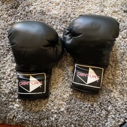 Punching Gloves 