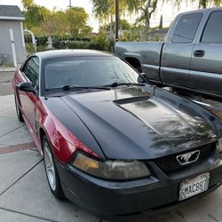 2000 Ford Mustang