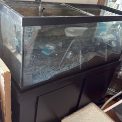 70g Fish Tank