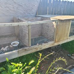 Big Rabbit Hutch