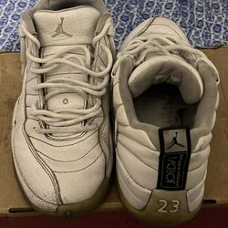 Jordan 12s 