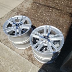 Mustard Rims