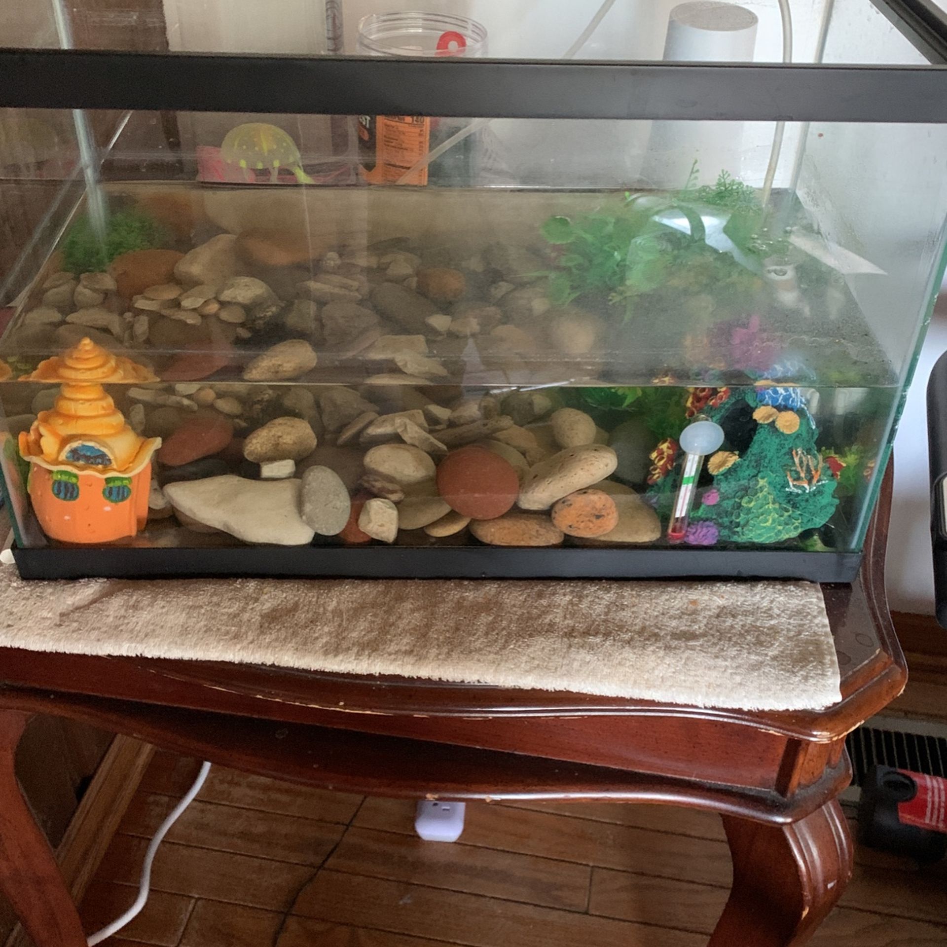 Fish Tank $30 Everything Included Including Pump