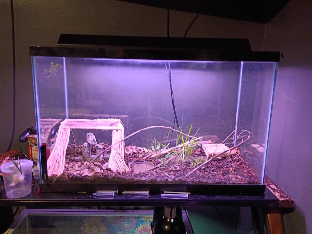 30 Gallon Tank
