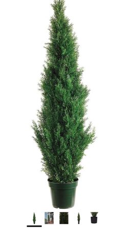 5 ft fake "plant" faux plant only solo las plantas