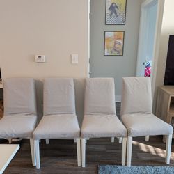 Dining Chairs 